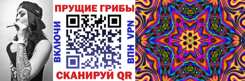 Галлюциногенные грибы Cubensis  Купить где  Павлово 